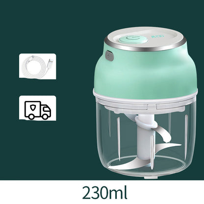 Portable Electric Garlic Cutter and Mini Food Chopper with Transparent Cup