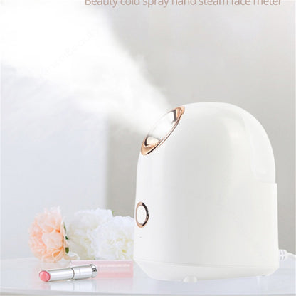 Beauty Steamer Facial 220V ABS 150ml Water Tank 20 Minute Spray