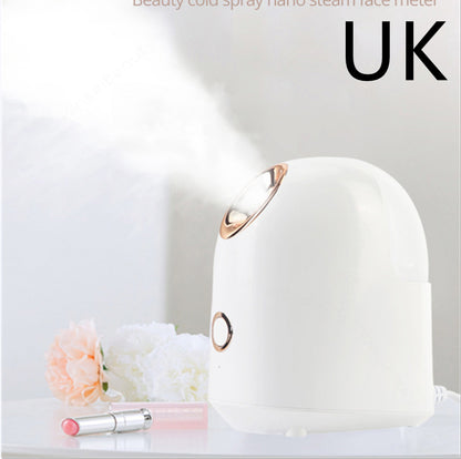 Beauty Steamer Facial 220V ABS 150ml Water Tank 20 Minute Spray
