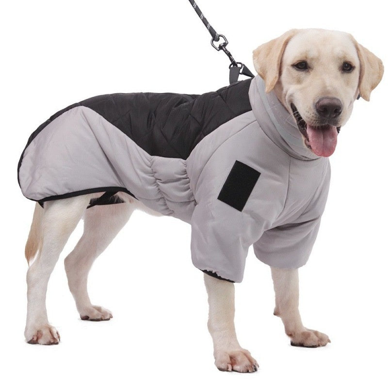 Keep your dog warm,
