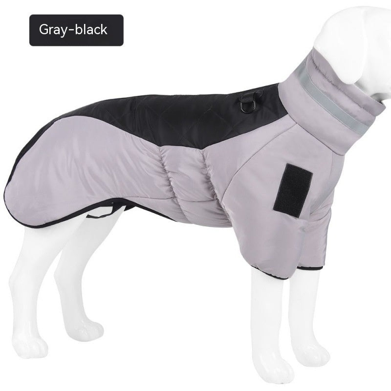 Keep your dog warm,