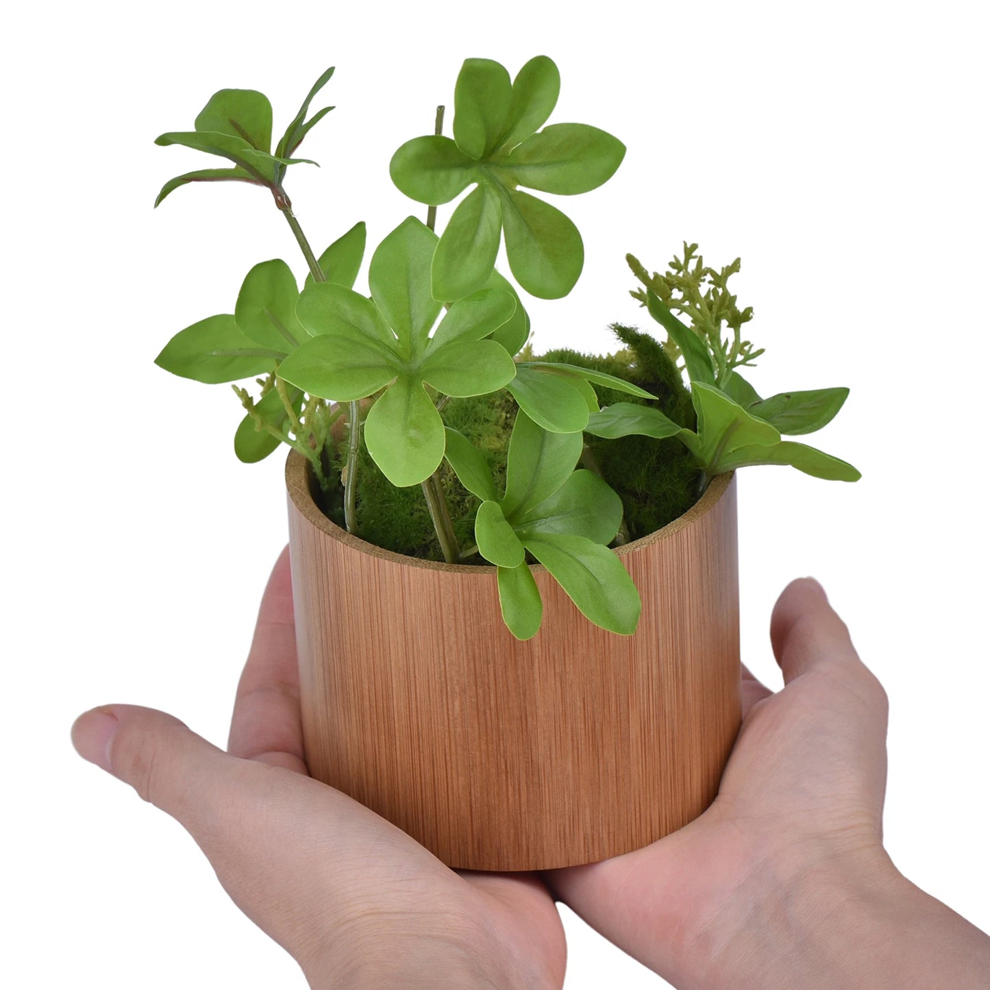 Bobo Bird Men Wooden Wristwatch Handcrafted Vintage Quartz