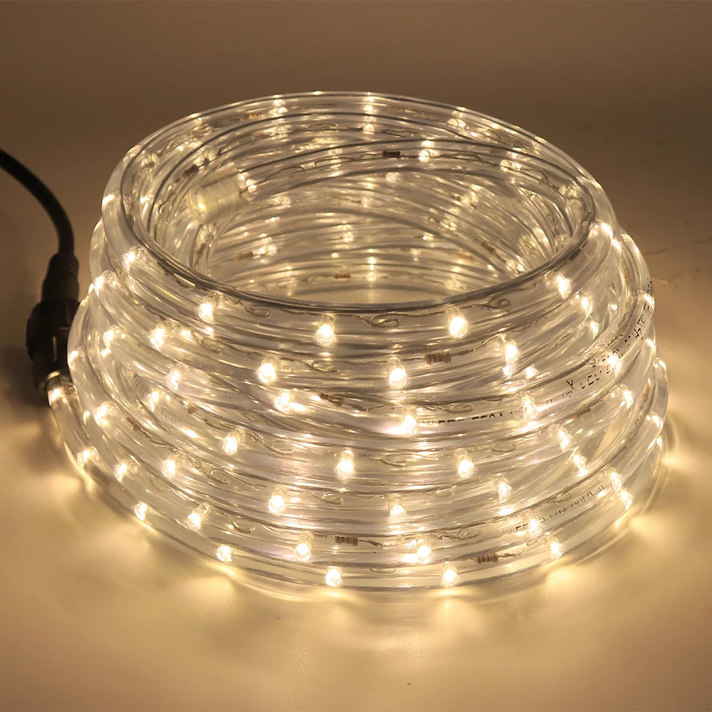 Waterproof Outdoor LED Rope Light 220V 110V Rainbow Tube For Christmas Decor