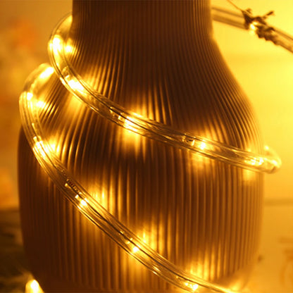 Waterproof Outdoor LED Rope Light 220V 110V Rainbow Tube For Christmas Decor