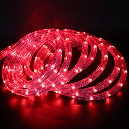Waterproof Outdoor LED Rope Light 220V 110V Rainbow Tube For Christmas Decor