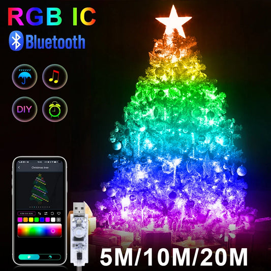 RGBIC LED String Lights WS2812B Bluetooth USB Music Dream Color Light 5V Garland