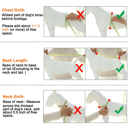 Warm Winter Dog Coat With Fur Collar For Small Breeds Chihuahua Yorkie Didog