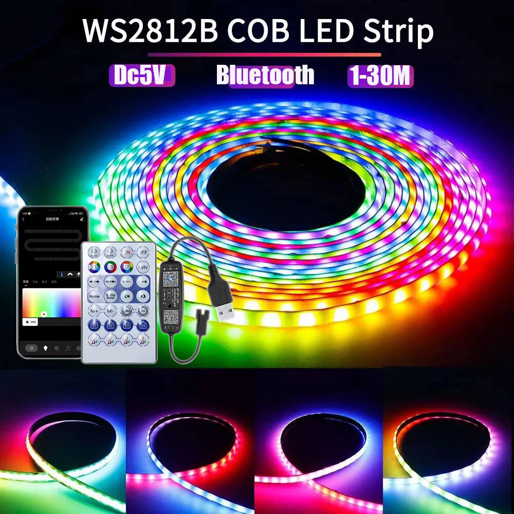 Ws2812B Addressable RGB IC LED Strip 5V USB Bluetooth App Control 1 To 30M