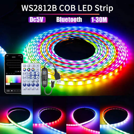 Ws2812B Addressable RGB IC LED Strip 5V USB Bluetooth App Control 1 To 30M