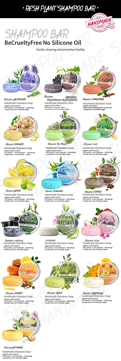 Tea Tree Essential Oil Shampoo For Hair Care Dandruff Control 60g Handmade