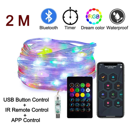Dreamcolor RGB LED Strip WS2812B Bluetooth Smart Lights
