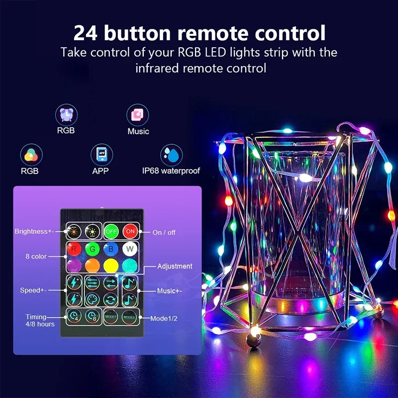 Dreamcolor RGB LED Strip WS2812B Bluetooth Smart Lights