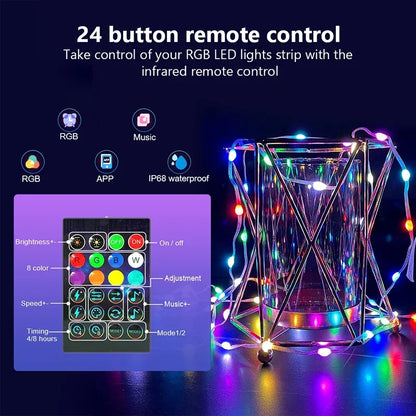 Dreamcolor RGB LED Strip WS2812B Bluetooth Smart Lights