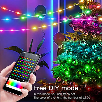 Dreamcolor RGB LED Strip WS2812B Bluetooth Smart Lights