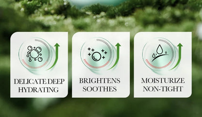 BIOAQUA Aloe Vera Skin Care Set 2 Piece Facial Cream And Eye Cream