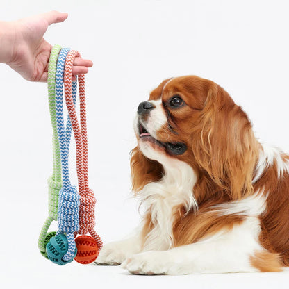 Dog Tooth Cleaning Ball Toy With Rope Rubber Chew Toy For All Sizes