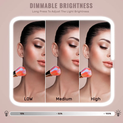 Travel Makeup Bag With LED Lighted Mirror Dividers Case