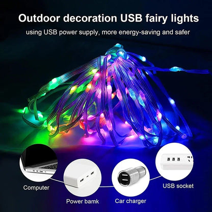 Dreamcolor RGB LED Strip WS2812B Bluetooth Smart Lights