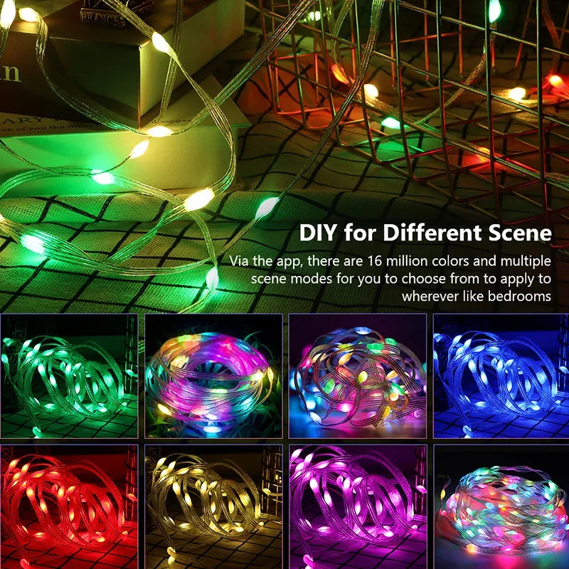 Dreamcolor RGB LED Strip WS2812B Bluetooth Smart Lights