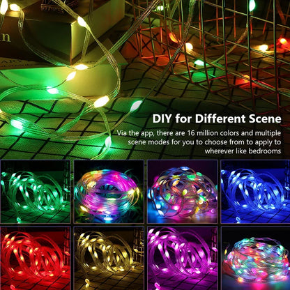 Dreamcolor RGB LED Strip WS2812B Bluetooth Smart Lights