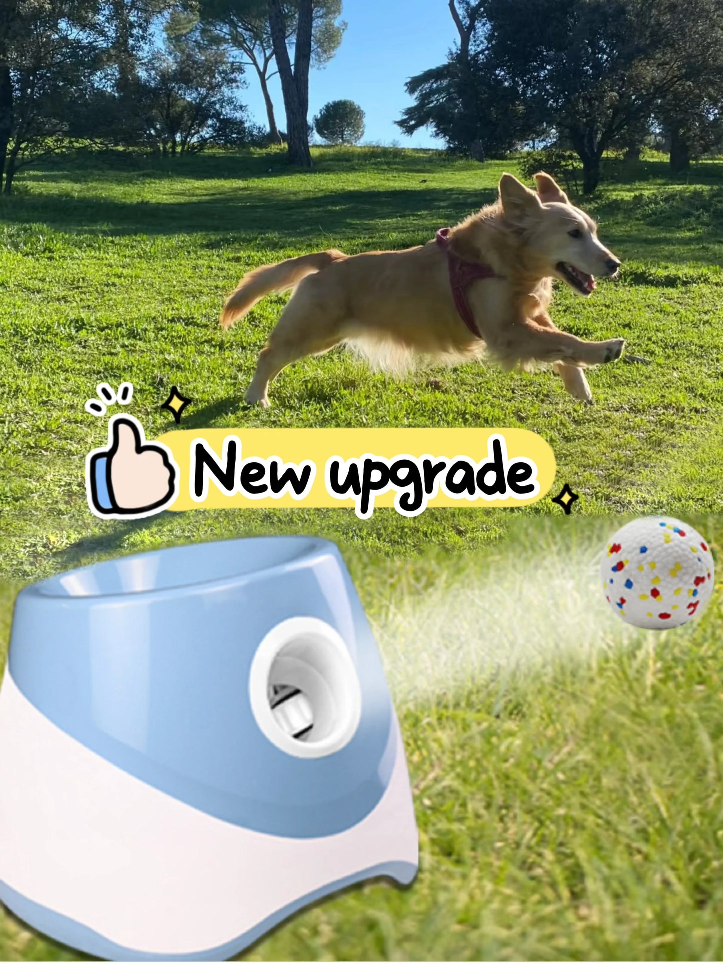 Automatic Dog Ball Launcher Toy USB Rechargeable Chase Toy For Dogs
