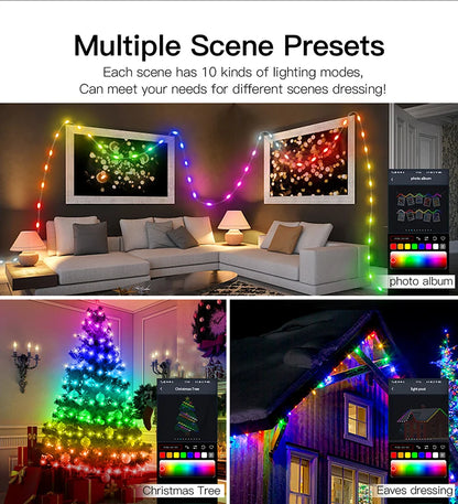 Dreamcolor RGB LED Strip WS2812B Bluetooth Smart Lights