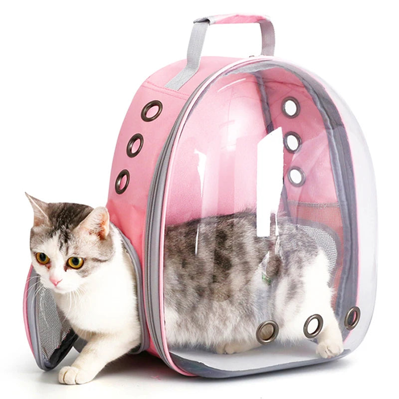 Transparent Capsule Bubble Cat Pet Carrier Backpack For Travel Small Animals