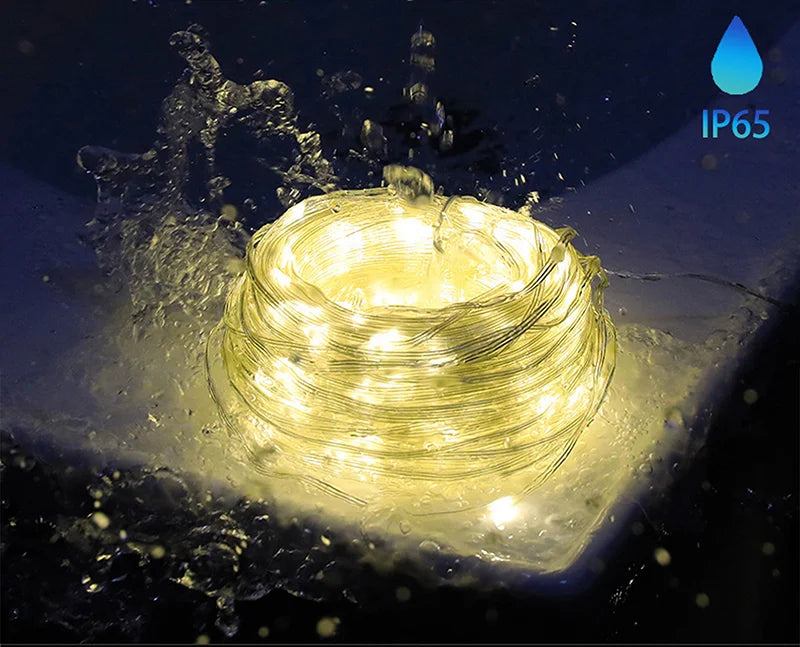 Dreamcolor RGB LED Strip WS2812B Bluetooth Smart Lights