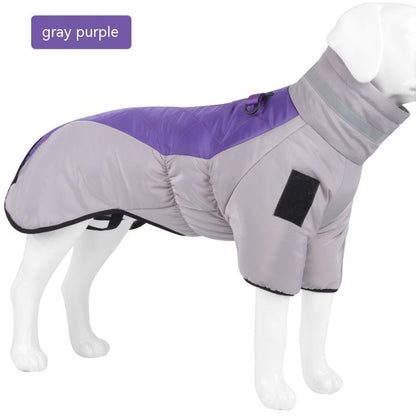 Keep your dog warm,