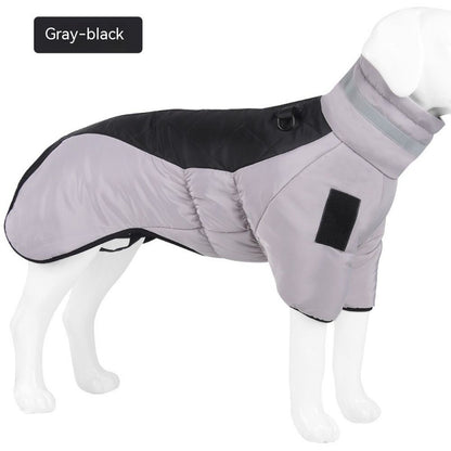 Keep your dog warm,