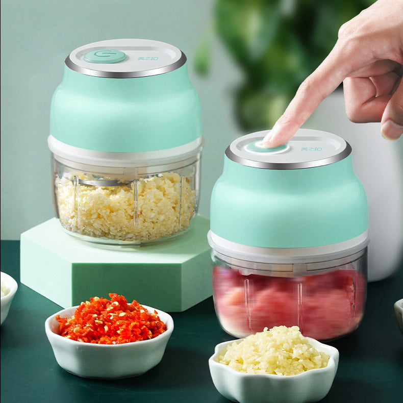 Portable Electric Garlic Cutter and Mini Food Chopper with Transparent Cup